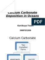 Calcium Carbonate Final