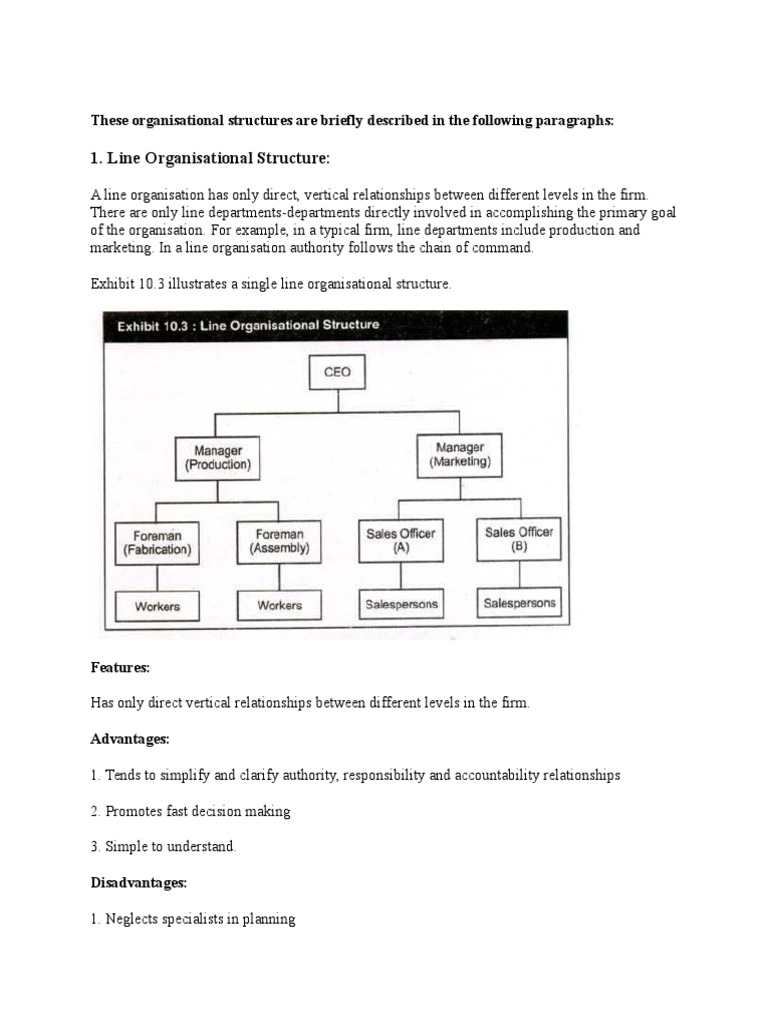 These Organisational Structures Are Briefly Described in the Following ...