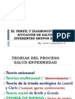 perfil y diagnostico de salud g  etareos