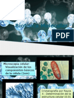 Biofísica Molecular