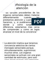 Neurofisiología de La Atención