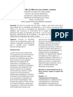 Microflora Normal Bacteriana