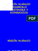 Region Huanuco