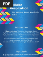 Cellular Respiration