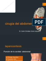 Cirugia Abdominal