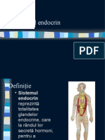 Sistemul Endocrin