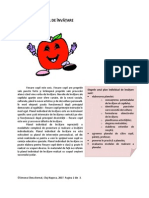 planul individual de invatare.pdf