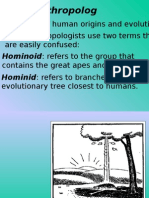 Human Evolutions