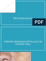 patologabucal-130924214052-phpapp02