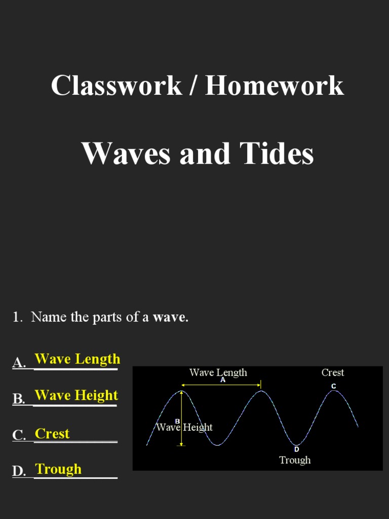 waves,tides (classwork, homework) | Tide | Moon