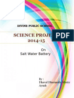 Divine Public School 2014-15 Science Project on Salt Water Battery