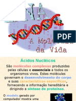 Acidos Nucleicos - Pps