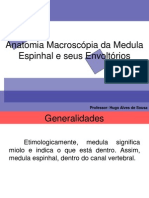 Anatomia Macroscópia Da Medula Espinhal e Seus Envoltórios