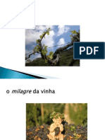 2 - A Videira e Terroir PDF