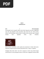 Download Makalah Ultrasonografi barudocx by fitrina SN264959213 doc pdf
