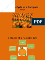 Life Cycle of Pumpkin Liz Cyr