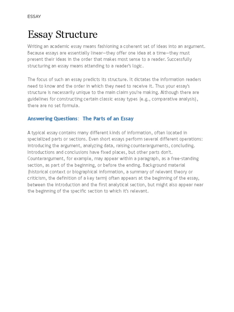 Essay Structure and Components Guide | PDF