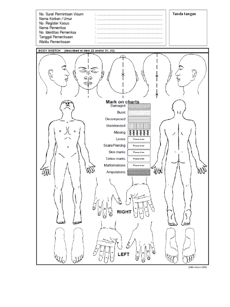 CSL - Body Chart | PDF