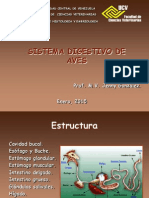 Digestivo de Aves, Histología