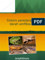 Sistem Darah Amfibia