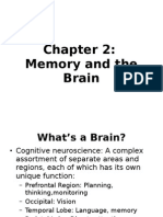 Memory and The Brain