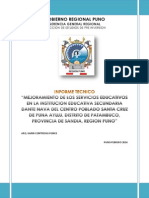 Informe Tecnico Patambuco PDF