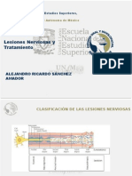 Lesiones Nerviosas