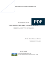 BEBENDO NA RAIZ tese de doutorado CDS UnB2.pdf