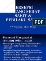 Persepsi Masyarakat Tentang Sehat-Sakit & Perilaku Sakit