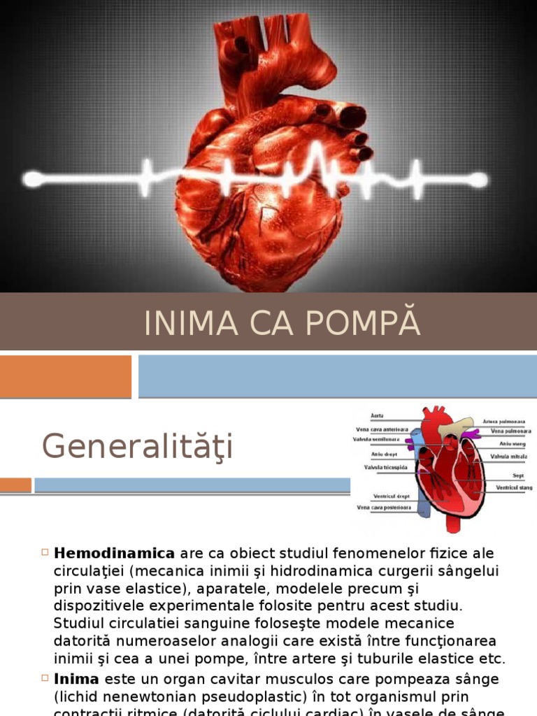Inima Analizata CA Si o Pompa | PDF