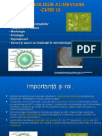 Microbiologie-1-Curs-012-drojdiile.ppt