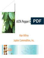 Pepper Report Final