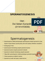 SPERMATOGENESIS