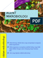 Agent Mikrobiologi