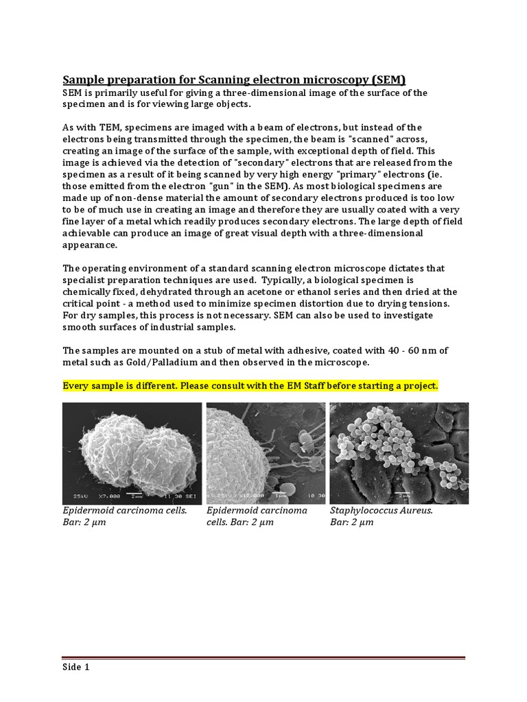 SEM Sample Preparation Techniques | PDF