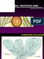 Monera Protista Fungi