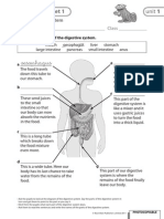 Science Worksheets 4