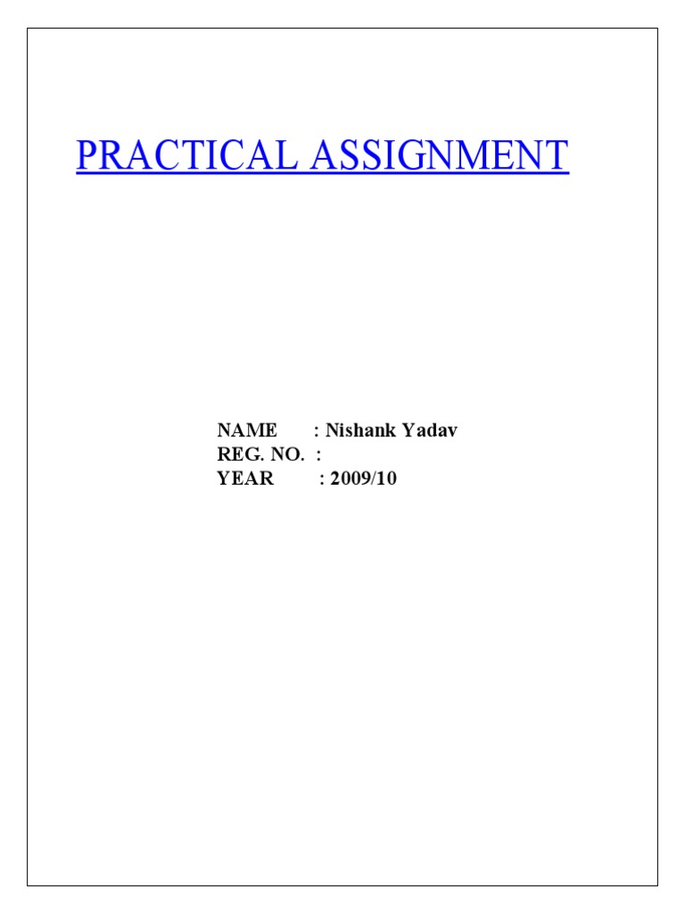Practical Assignment | PDF