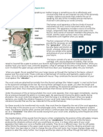 Speech and Oral