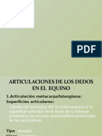 88659922-Articulaciones-de-Los-Dedos-en-El-Equino-2.ppt
