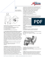 Sistema Reprodutor (1)