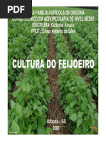 Cultura do Feijoeiro