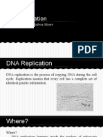 Dna Replication