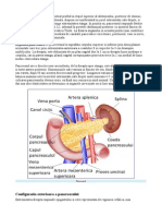 Pancreasul