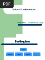 Aula4 Parenquima, Colenquima, Esclerenquima