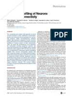 Molecular Profiling of Neurons