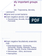 Treponema, Borrelia, Leptospira: Spirochaetes: Spiral and Curved Bacteria Gram Negative Aerobic Rods and Cocci