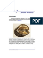 Chripollitt 3 Lamellar Anatomy