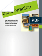 Biolixiviacionolixiviacionbacteriana 121128232351 Phpapp01(1)