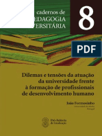 Joao Formosinho Caderno 8